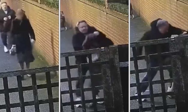 London: Shocking attack on pregnant Jewish woman captured on CCTV