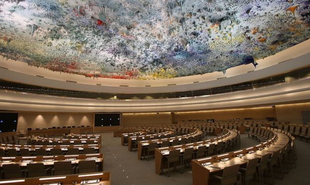 Baroness Deech: UNHRC inquiry ‘is going to open the door to all the enemies of Israel’