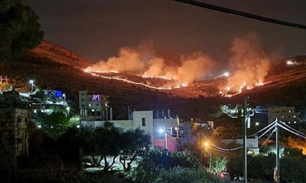 Legal action against NGO after it spread claim Palestinian fields were set on fire