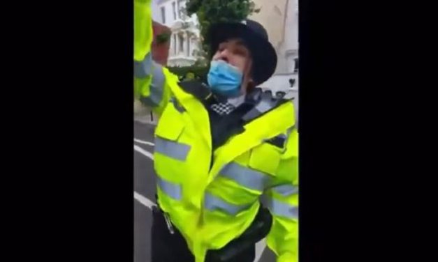 London: Investigation after police officer shouts ‘Free Palestine’ during protest