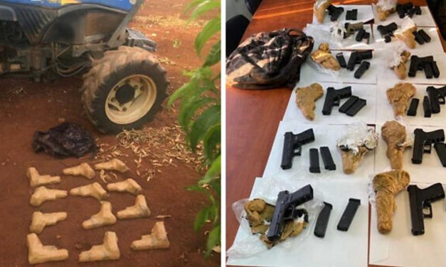 Israeli forces foil gun smuggling from Lebanon into northern Israel