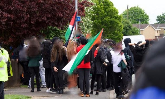 British schools became hotbeds of anti-Israel sentiment during recent conflict