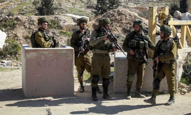 Israeli soldier stabbed in gun-snatching attack