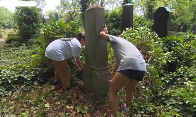 Budapest: Volunteers help restore one of world’s largest Jewish cemeteries