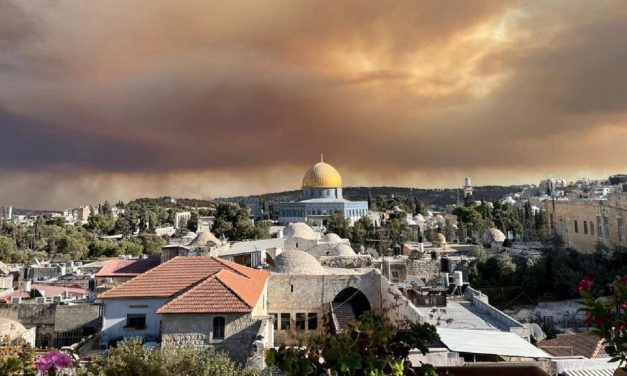 Israel: Wildfires outside Jerusalem send smoke over capital; hundreds evacuate