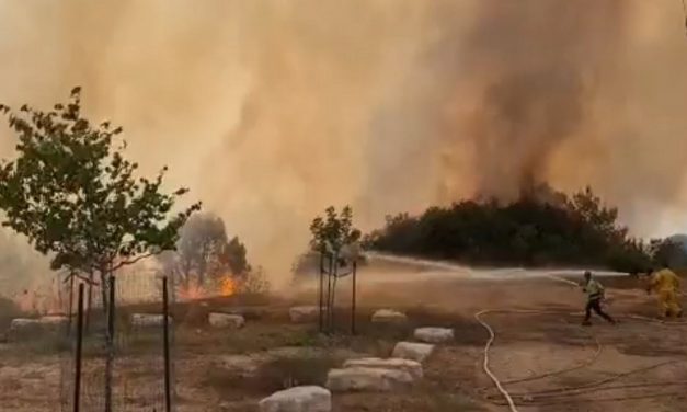 Hamas arson balloons set fire to two nature reserves in Israel
