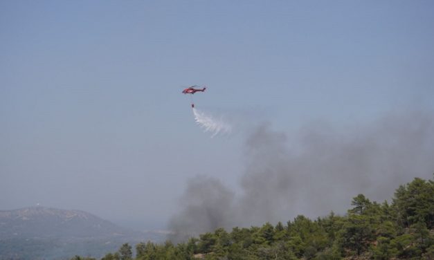 Israeli firefighters sent to Greece to combat wildfires