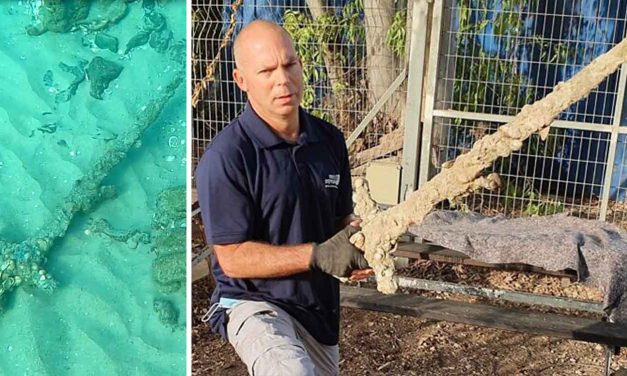 Israeli diver pulls 900-year-old Crusader sword from seafloor