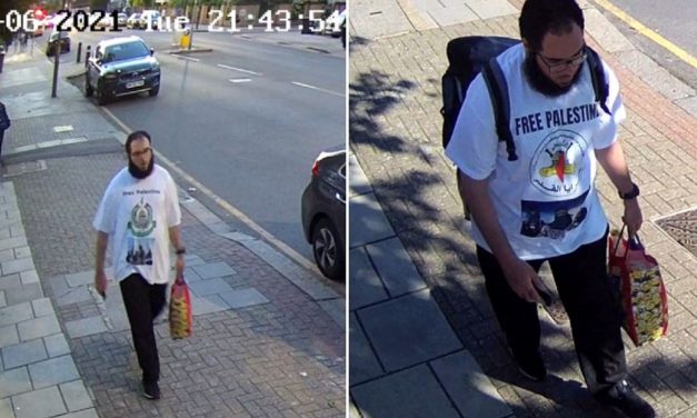 London: Man who walked through Jewish community wearing Hamas t-shirt admits terror offences