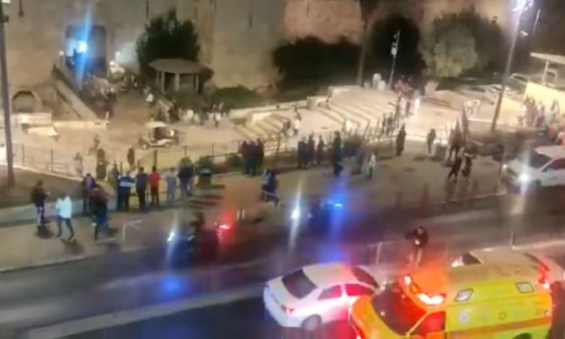 Two Israeli police officers stabbed in Jerusalem; Palestinian terrorist shot