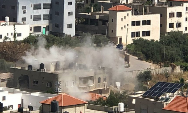 Why was the IDF operating in Jenin this week?
